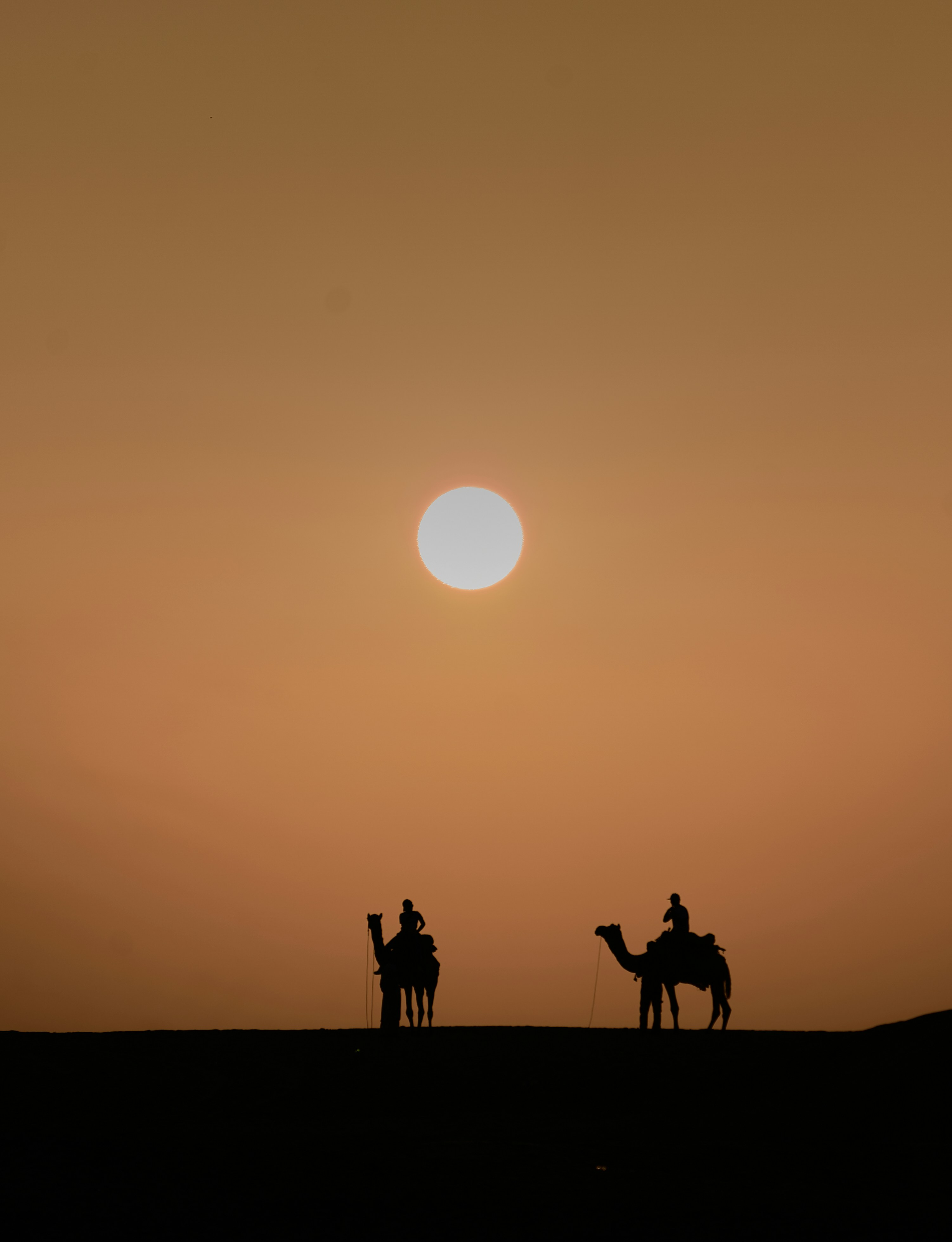 Desert Dreams – Jaisalmer