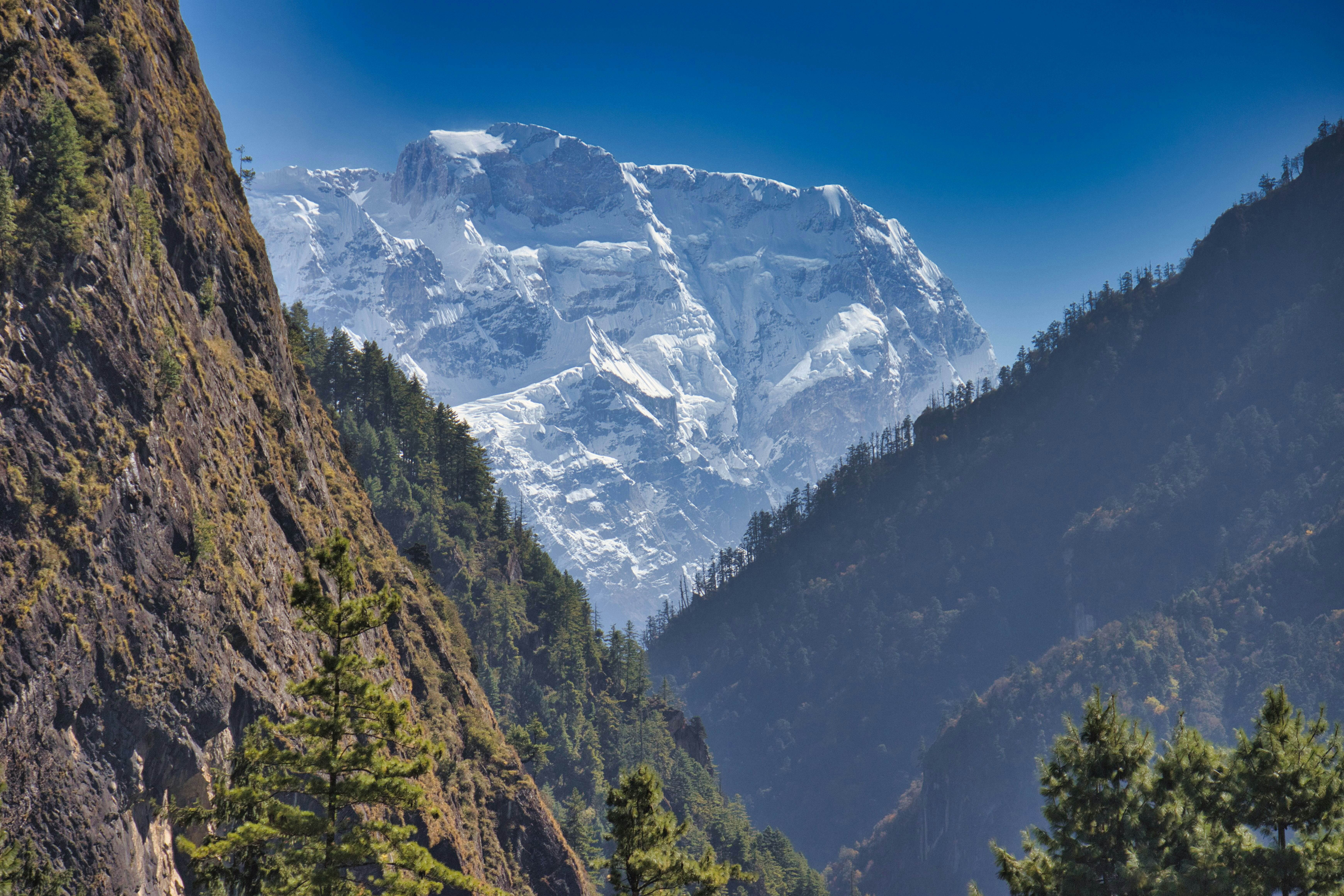 The Himalayan Escape